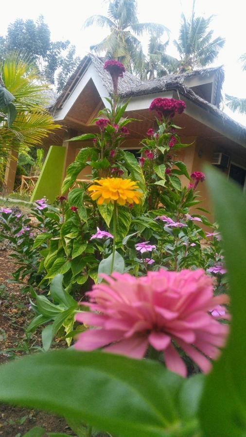 Miki'S Guest House Siquijor Luaran gambar